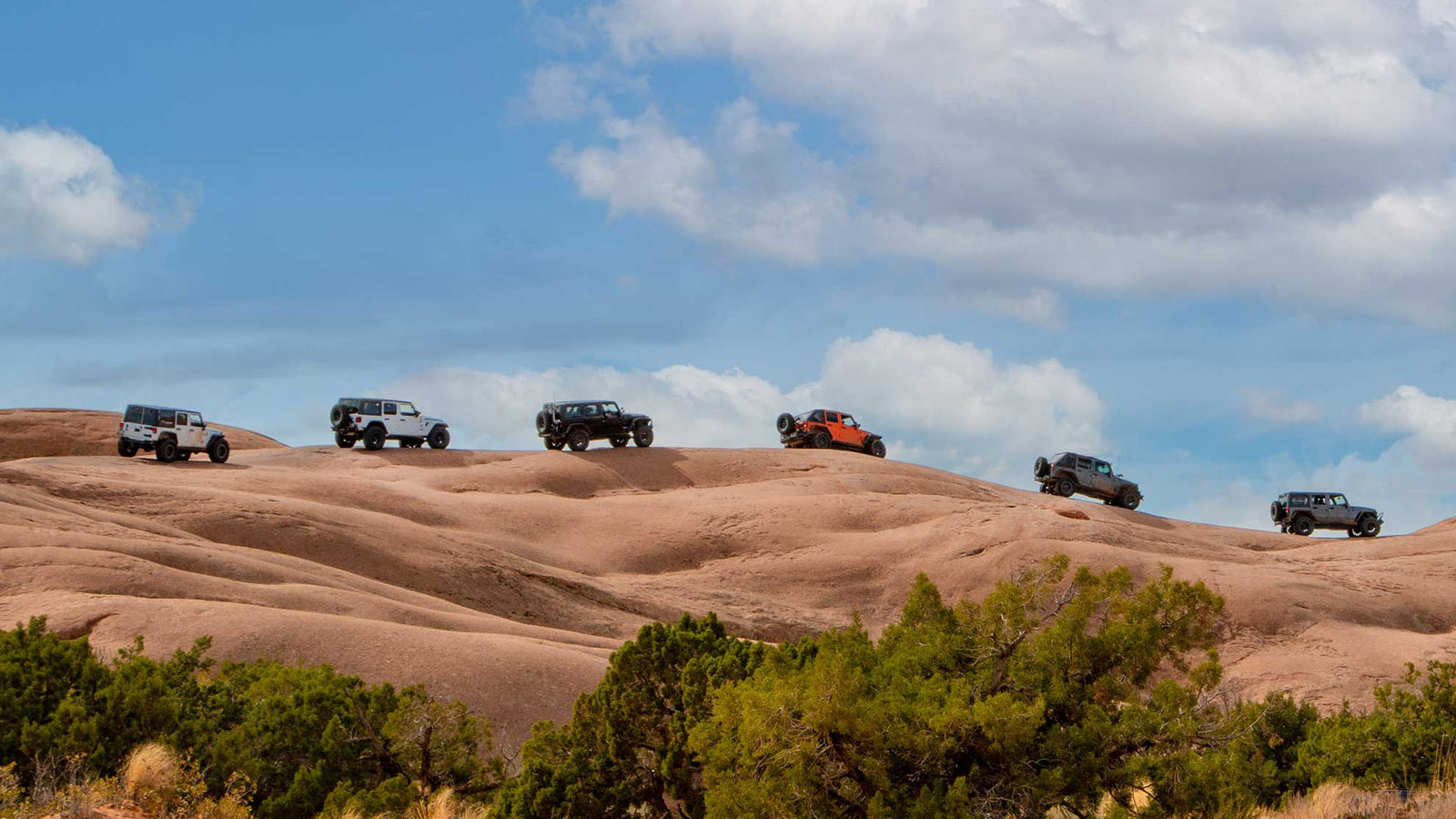 Top 5 Trail Rides